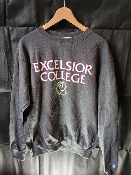 Champion Excelsior College